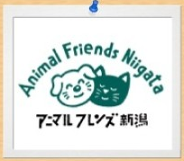 �����������������C���[�W